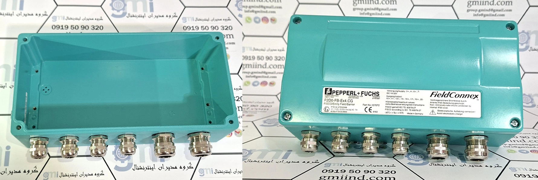 f2d0-fb-ex4.cg-pepperl-fuchs- -gmiind.com- FieldBarrier -Fieldbus Barrier -پپرل-فوکس-گروه مدیران اینترنشنال